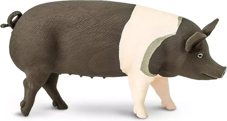 Figur Hampshire-Schwein Safari Ltd. – 1 Stück