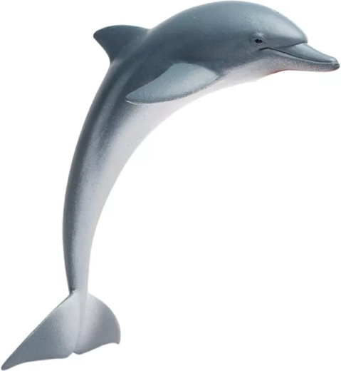 Delfin Safari Ltd. - 1 Stück