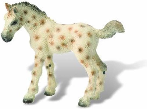 Knabstrupper Fohlen