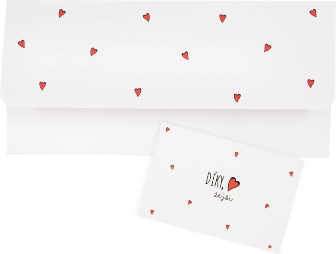 Papierumschlag „Danke, dass es dich gibt“ 22 × 11 cm
