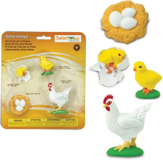 Safari Ltd. Lebenszyklus – Huhn