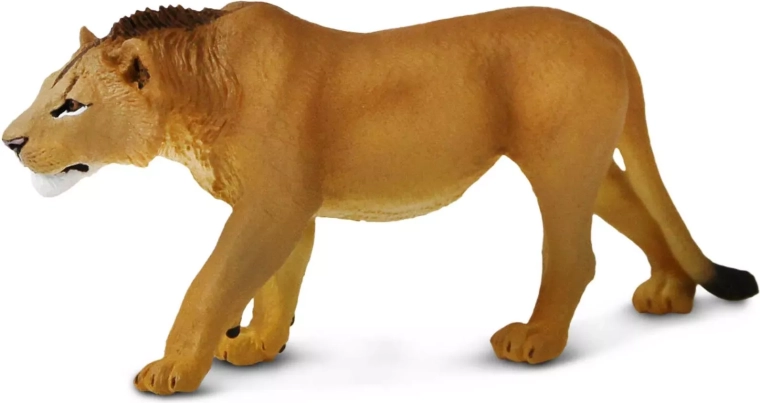 Safari Ltd. Figur eines heranwachsenden Löwen – 1 Stück