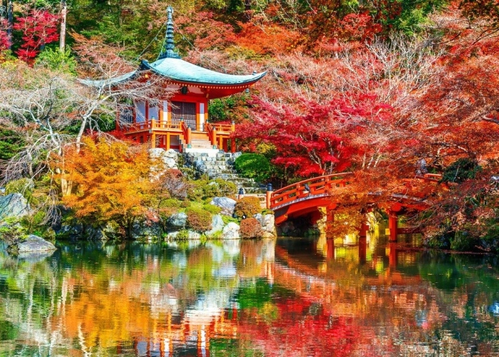 Puzzle BLUEBIRD Daigōji-Tempel im herbstlichen Kyōto – 500 Teile