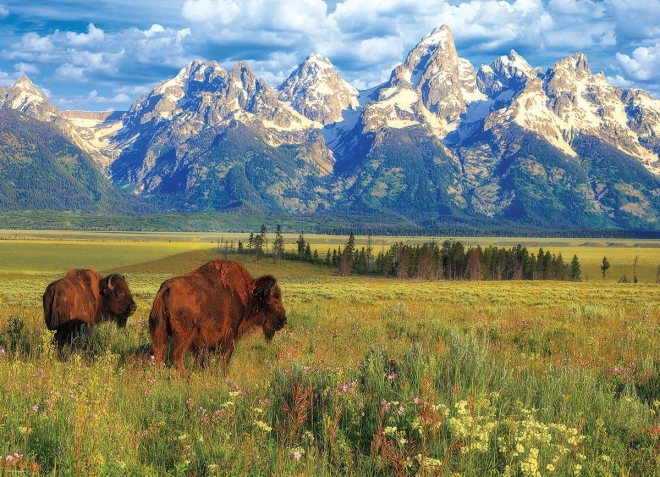 Puzzle wunderschöner Grand-Teton-Nationalpark 1000 Teile