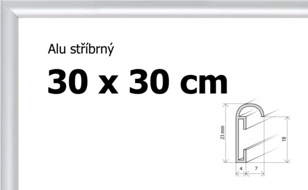 Aluminiumrahmen 30x30 cm in Silberfarbe