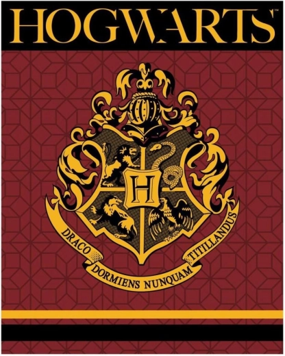 Fleece-Decke Harry Potter XL