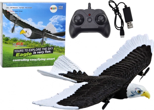 Flugzeug Eagle Bird Fernsteuerung RC 2.4G 41 cm x 28 cm x 5 cm