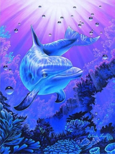 Norimpex Malen nach Zahlen Delfin 40 × 50 cm