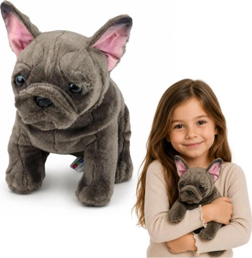 Plüsch-Französische Bulldogge 22 cm