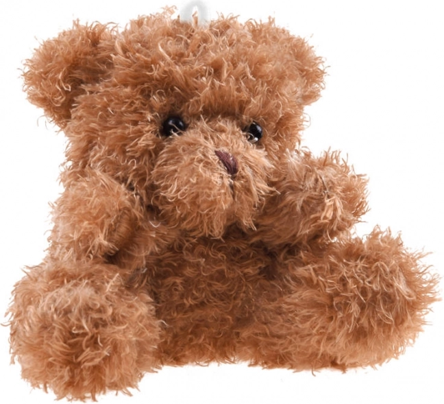 Plüsch-Teddybär Anhänger 10 cm – Braun