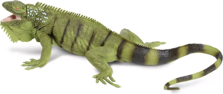 Safari Ltd. Grüner Leguan