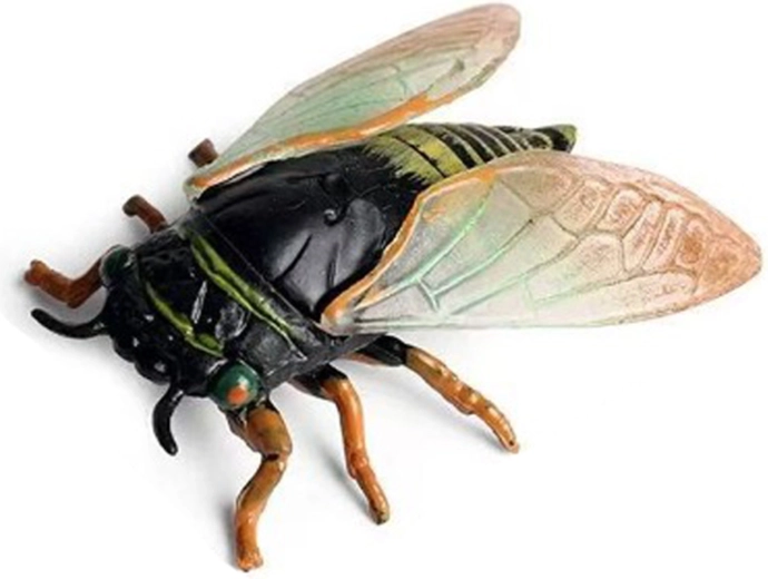 Zikade 6 cm