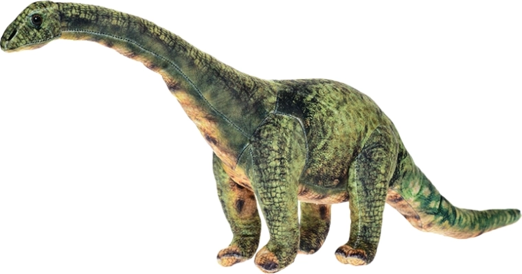 Plüsch-Diplodocus 60 cm – stehendes Spielzeug für Kinder ab der Geburt