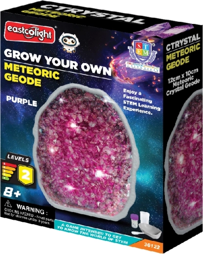 Meteoriten-Geode zum Züchten violetter Kristalle