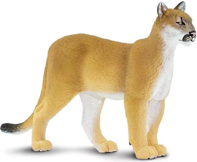 Figur Florida-Puma Safari Ltd. - 1 Stück