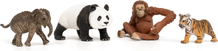 Starterset Wild Life Asien