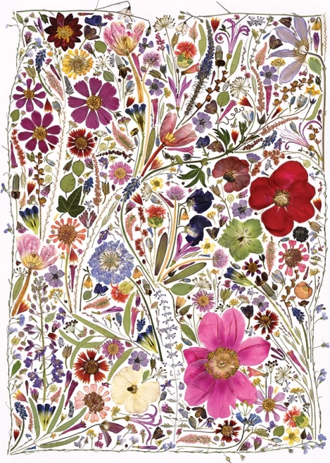 Puzzle Gepresste Blumen Frühling 1000 Teile von Cobble Hill