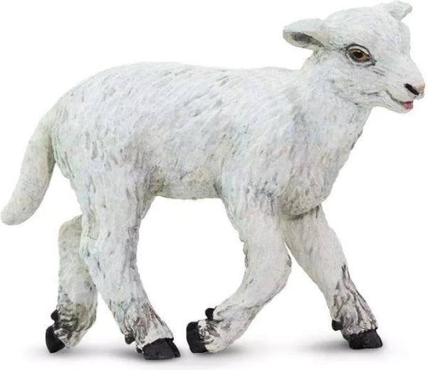Safari Ltd. Figur der Hausschaf – 1 Stück