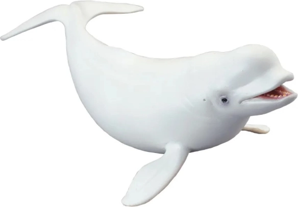 Modell Beluga Nord