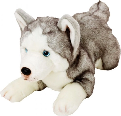 Plüschhund Husky