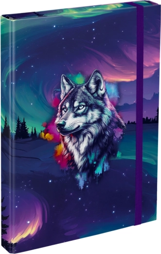 Mappen für Schulhefte A4 Baagl Aurora