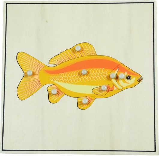 Puzzle mit Skelett – Fisch
