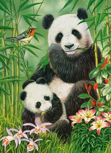 Puzzle Castorland Panda Brunch 300 Teile
