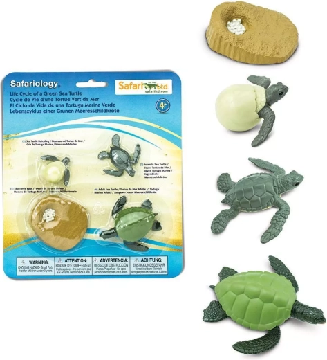 Safari Ltd. Lebenszyklus der Meeresschildkröte
