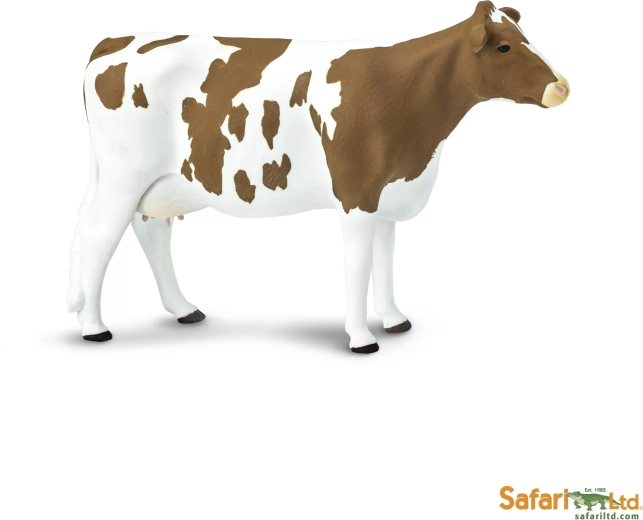 Safari Ltd. Ayrshire-Rind