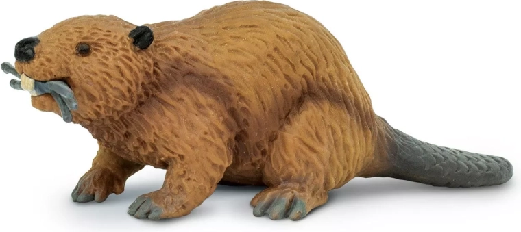 Safari Ltd. Biber-Figur – 1 Stück