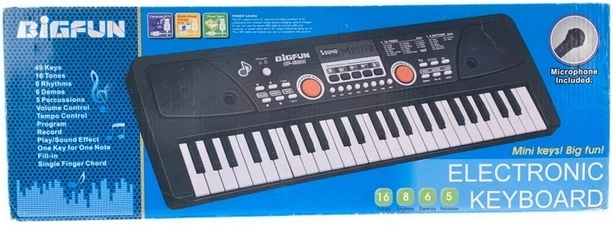 Kinder-Keyboard Madej mit Mikrofon