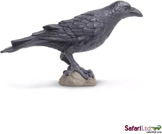 Aaskrähe – Feldfigur Safari Ltd.