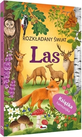 Aufklappbare Welt Wald
