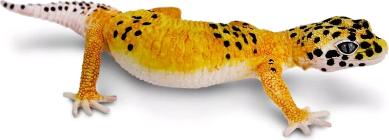 Safari Ltd. Figur – Leopardgecko