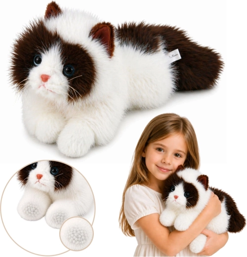 Plüsch-Perserkatze braun-weiß 50 cm mit beschwerten Pfoten