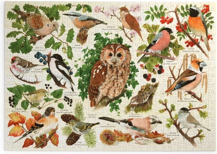 Puzzle Waldvögel, 500 extra große Teile