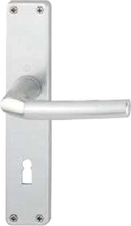 Türgriff mit Schild BIRMINGHAM für Schlüssel 72 mm, Aluminium, silber