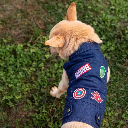 Cerda Jeans-Outfit für Hunde Marvel, Größe S - 1 Stück