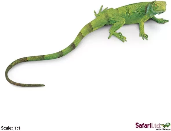Safari Ltd. Jungtier des Grünen Leguans – 1 Stück