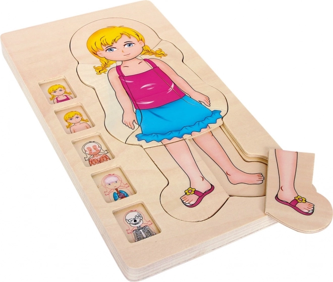 Small foot Holz-Schichtenpuzzle Anatomie