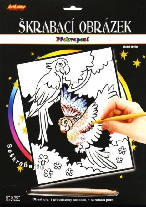 Kratzbild mit Überraschung Zwei Papageien 20x25 cm