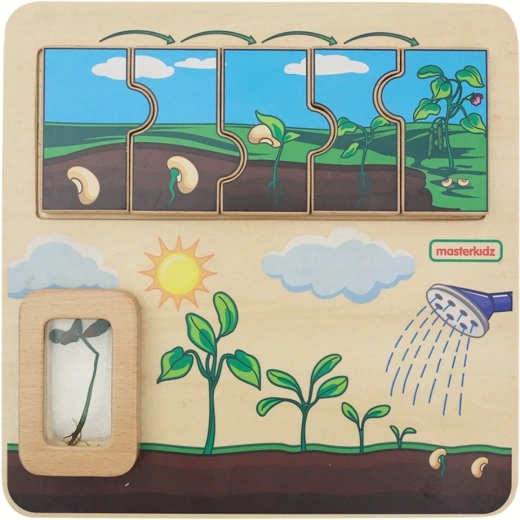 Masterkidz Holz-Lernboard – Lebenszyklus der Bohne