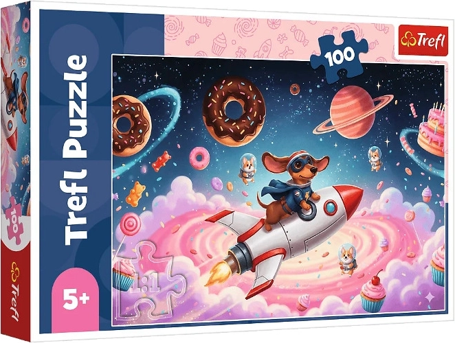 Puzzle 100 Teile – Igel auf einer Rakete
