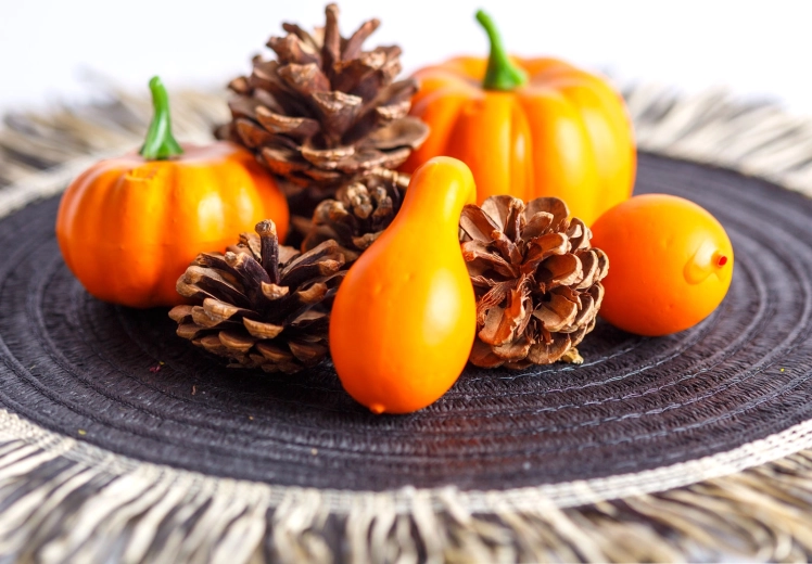 Herbstliches Dekoset mit Kürbissen und Tannenzapfen, 9-teilig