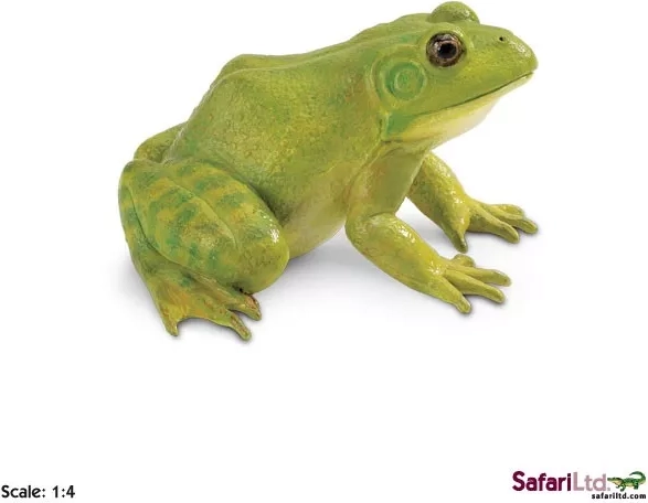 Amerikanischer Ochsenfrosch – Figur - 1 Stück