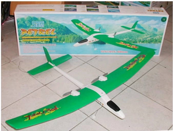 RC-Flugzeug Petrel mit Elektroantrieb und zweikanaliger Steuerung