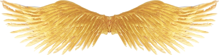 Goldene Engelsflügel für Erwachsene