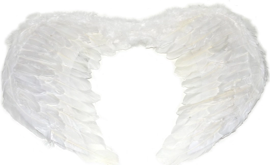 Große Engelsflügel