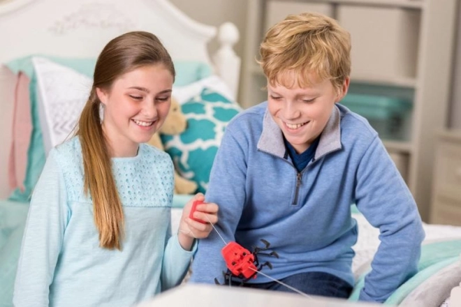 4M Spinnenroboter für Kinder