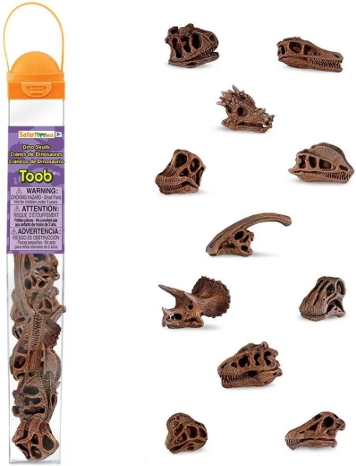 Safari Ltd. TOOBS Tube – Dinosaurierschädel